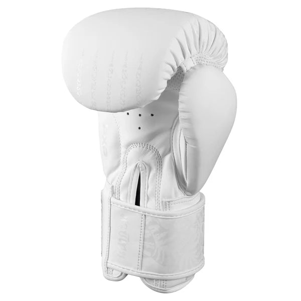 Fairtex Muay Thai Boxing Gloves (8oz–16oz) | Premium Protection & Performance