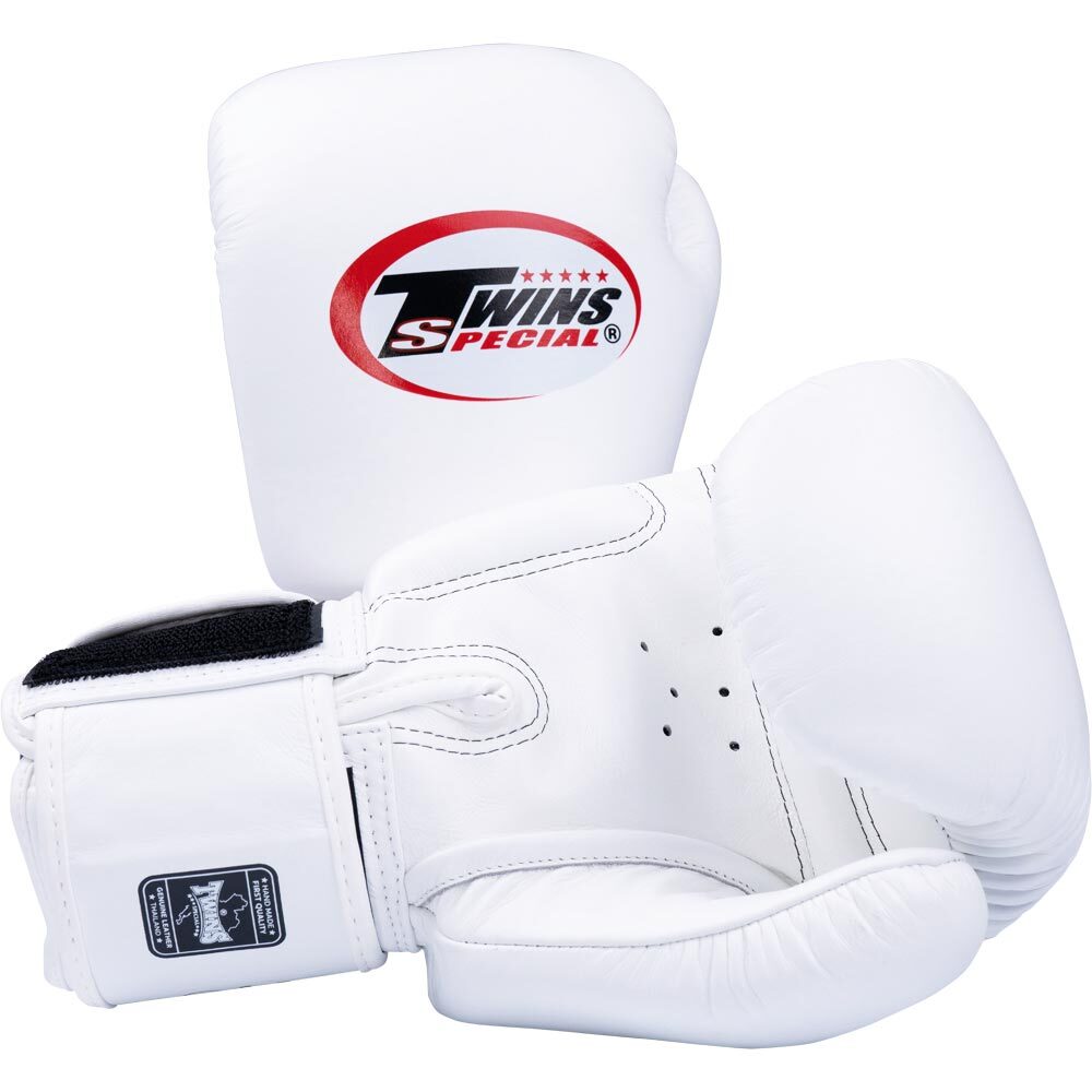 Twins Special Muay Thai MMA Boxing Gloves | Pro Fight Gear for Training