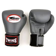 Twins Special Muay Thai MMA Boxing Gloves | Pro Fight Gear for Training