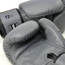 Twins Special Muay Thai MMA Boxing Gloves | Pro Fight Gear for Training