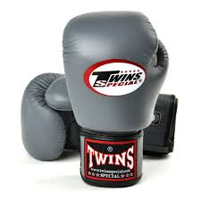 Twins Special Muay Thai MMA Boxing Gloves | Pro Fight Gear for Training