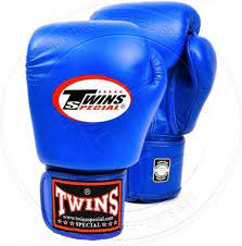 Twins Special Muay Thai MMA Boxing Gloves | Pro Fight Gear for Training - FitZone360