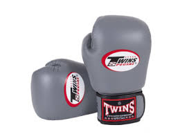 Twins Special Muay Thai MMA Boxing Gloves | Pro Fight Gear for Training
