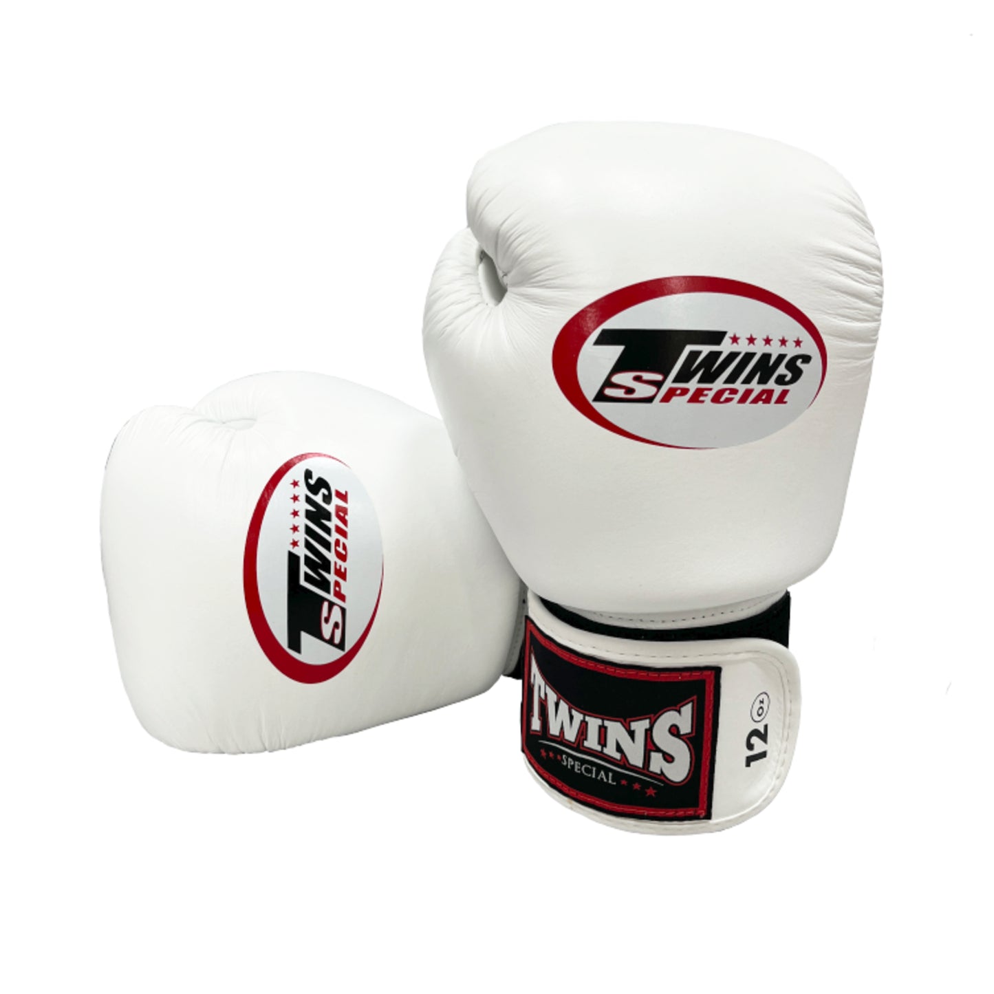 Twins Special Muay Thai MMA Boxing Gloves | Pro Fight Gear for Training