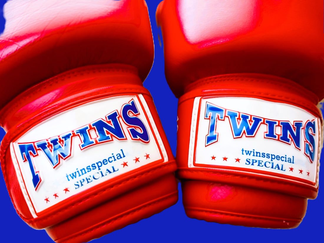 Twins Special Muay Thai Boxing Gloves