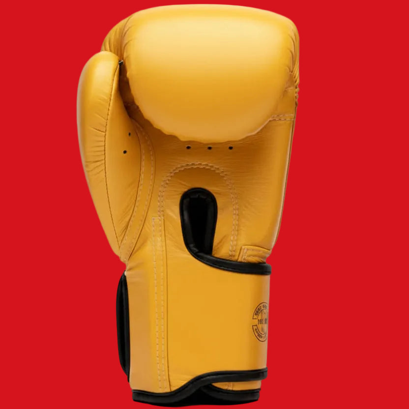 Fairtex Muay Thai Boxing Gloves | Pro Fight & Sparring Gear BGV1 - FitZone360