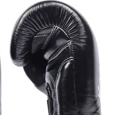 Twins Special Boxing Gloves | Professional Training & Sparring Gloves