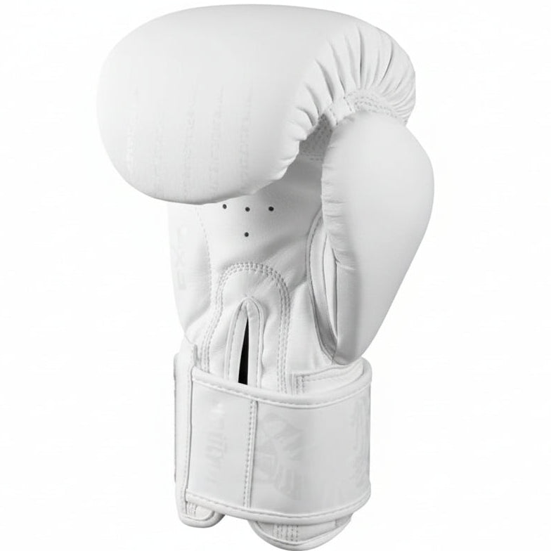 Fairtex Muay Thai Boxing Gloves | Pro Fight & Sparring Gear BGV1 - FitZone360