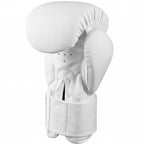 Fairtex Muay Thai Boxing Gloves | Pro Fight & Sparring Gear BGV1 - FitZone360