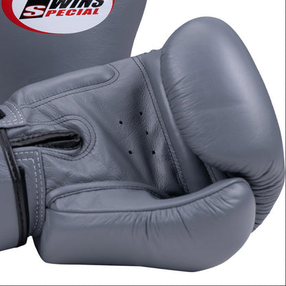 Gray boxing gloves with Twins Special logo on a white background