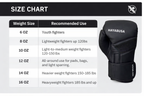 HAYABUSA Classic Matte Black Boxing Gloves - FitZone360
