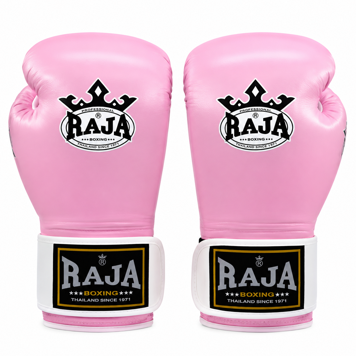 RAJA Professional Boxing Gloves – Muay Thai, Boxing, MMA & Dutch