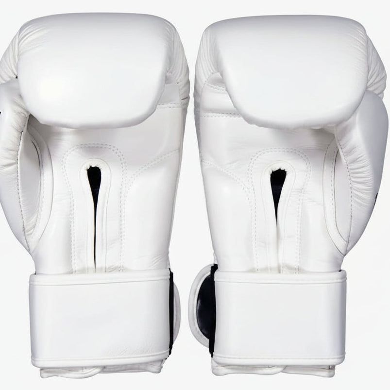 Fairtex Muay Thai Boxing Gloves | Pro Fight & Sparring Gear BGV1 - FitZone360