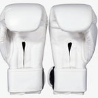 Fairtex Muay Thai Boxing Gloves | Pro Fight & Sparring Gear BGV1 - FitZone360