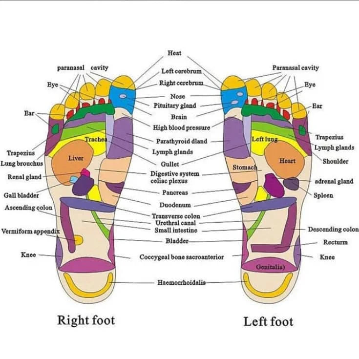 Wellness Foot Therapy Sandals | Stimulation - FitZone360