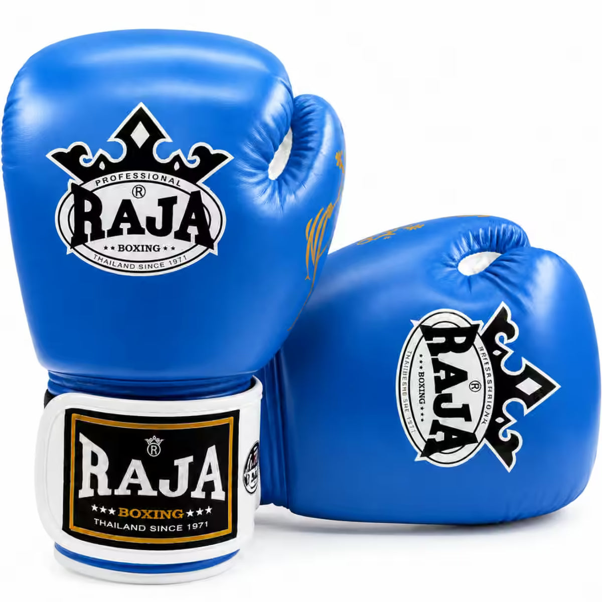 RAJA Boxing Gloves – Boxing, MMA & Dutch K1 Kickboxing Training Gloves