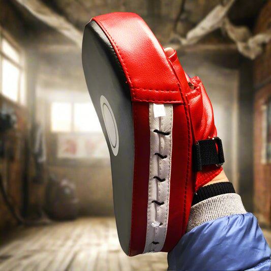 Pro Focus Pads for Boxing, MMA & Muay Thai - FitZone360