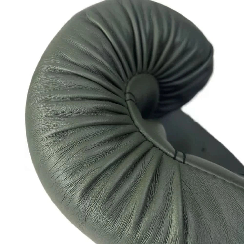 Fairtex Muay Thai Boxing Gloves | Pro Fight & Sparring Gear BGV1 - FitZone360