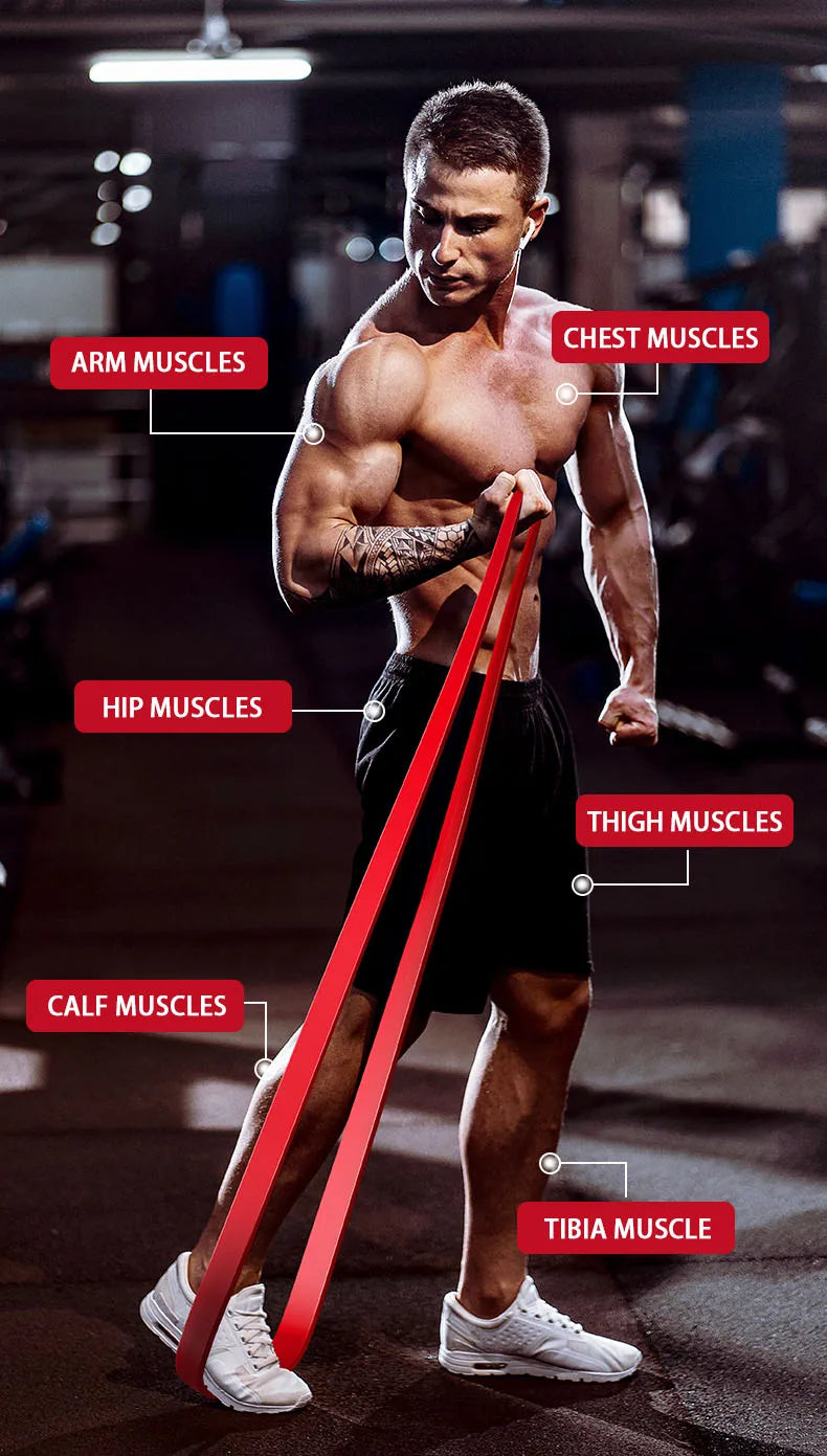 Resistance Bands for Strength Training | Bodybuilding, Workouts, Stretching & Home Gym - FitZone360