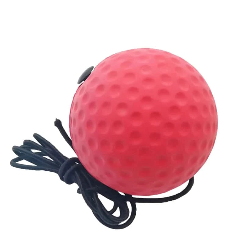 Boxing | Speed Ball for MMA and Boxing - FitZone360