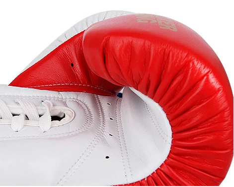 Professional Boxing Gloves | Kickboxing MMA & Muay Thai