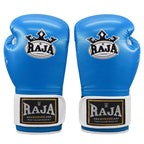 Pair of blue boxing gloves with Raja Boxing logo on a white background