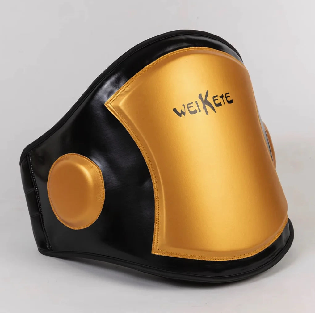 Boxing Coach | Body Protector (Trainer Chest & Belly Pad) - FitZone360