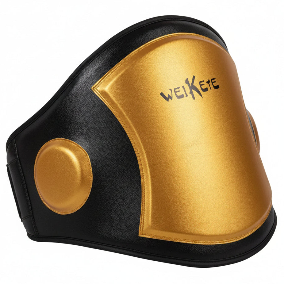 Boxing Coach | Body Protector (Trainer Chest & Belly Pad) - FitZone360