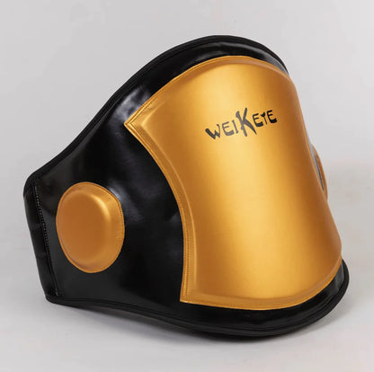 Boxing Coach | Body Protector (Trainer Chest & Belly Pad) - FitZone360