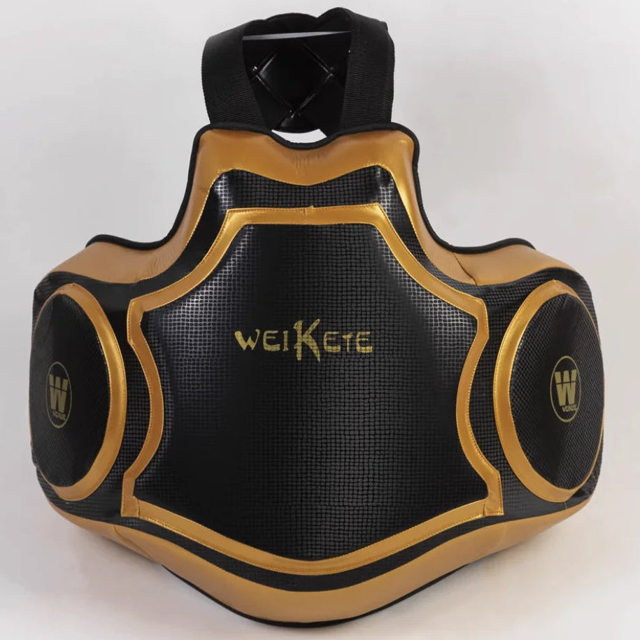 Boxing Coach | Body Protector (Trainer Chest & Belly Pad) - FitZone360