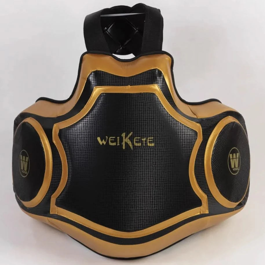 Boxing Coach | Body Protector (Trainer Chest & Belly Pad) - FitZone360