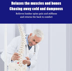 Ergonomic Lumbar Massager for Everyday Wellness - FitZone360