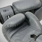 Gray boxing gloves with '12 oz' label on a light gray background