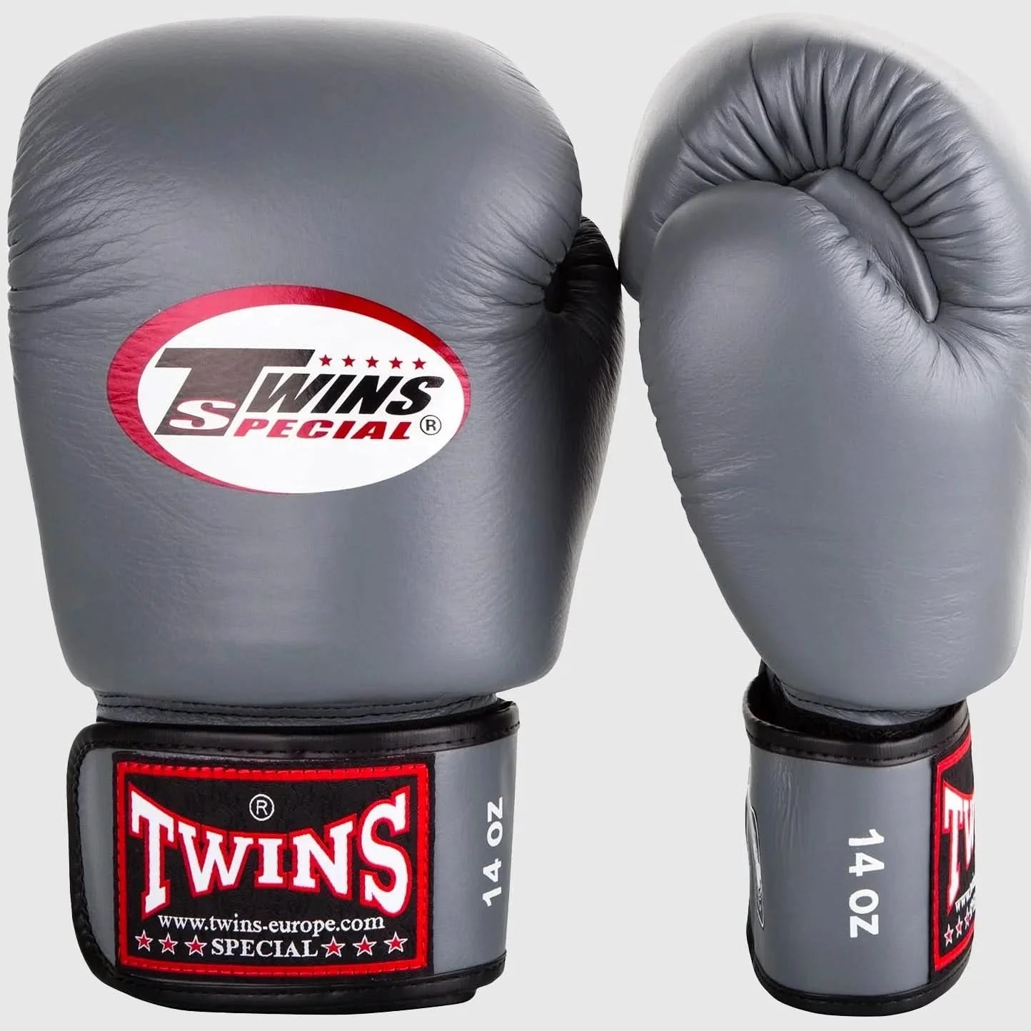 Gray boxing gloves with Twins Special logo on a white background