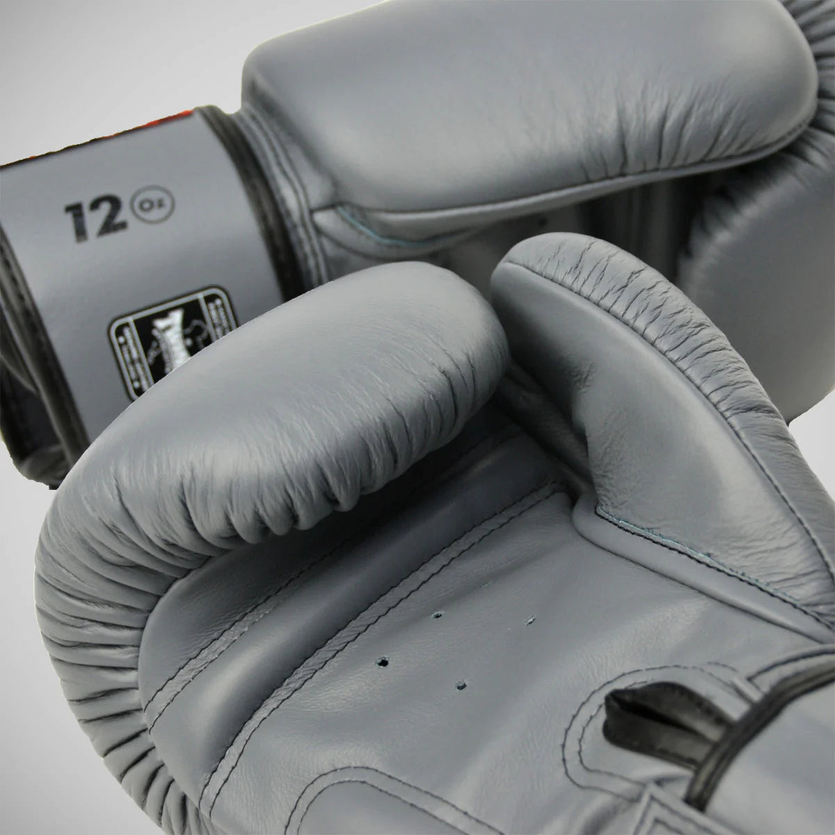Twins Special Boxing Gloves | Professional Training & Sparring Gloves