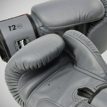 Twins Special Boxing Gloves | Professional Training & Sparring Gloves