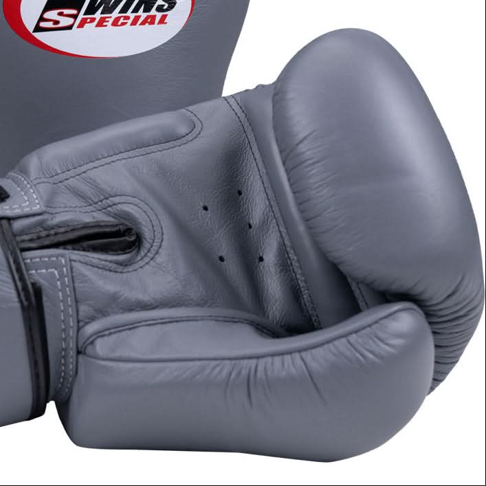 Gray boxing gloves with Twins Special logo on a white background
