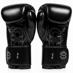 Fairtex Muay Thai Boxing Gloves | Pro Gloves K1 Boxing - FitZone360