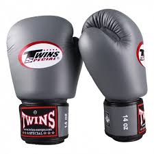 Twins Special Muay Thai MMA Boxing Gloves | Pro Fight Gear for Training