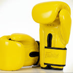 Fairtex Muay Thai Boxing Gloves | Pro Fight & Sparring Gear BGV1 - FitZone360