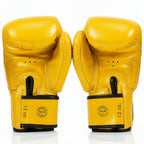 Fairtex Muay Thai Boxing Gloves | Pro Gloves K1 Boxing