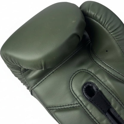 Fairtex Muay Thai Boxing Gloves | Pro Fight & Sparring Gear BGV1 - FitZone360