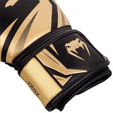 VENUM Full Contact Boxing Gloves | Protection & Precision-Martial Arts