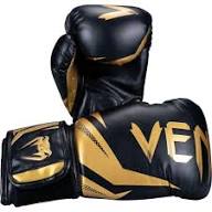 VENUM Full Contact Boxing Gloves | Protection & Precision-Martial Arts