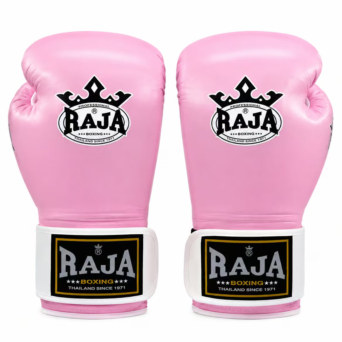 RAJA Boxing Gloves – Boxing, MMA & Dutch K1 Kickboxing Training Gloves
