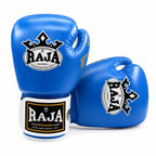 RAJA Boxing Gloves – Boxing, MMA & Dutch K1 Kickboxing Training Gloves