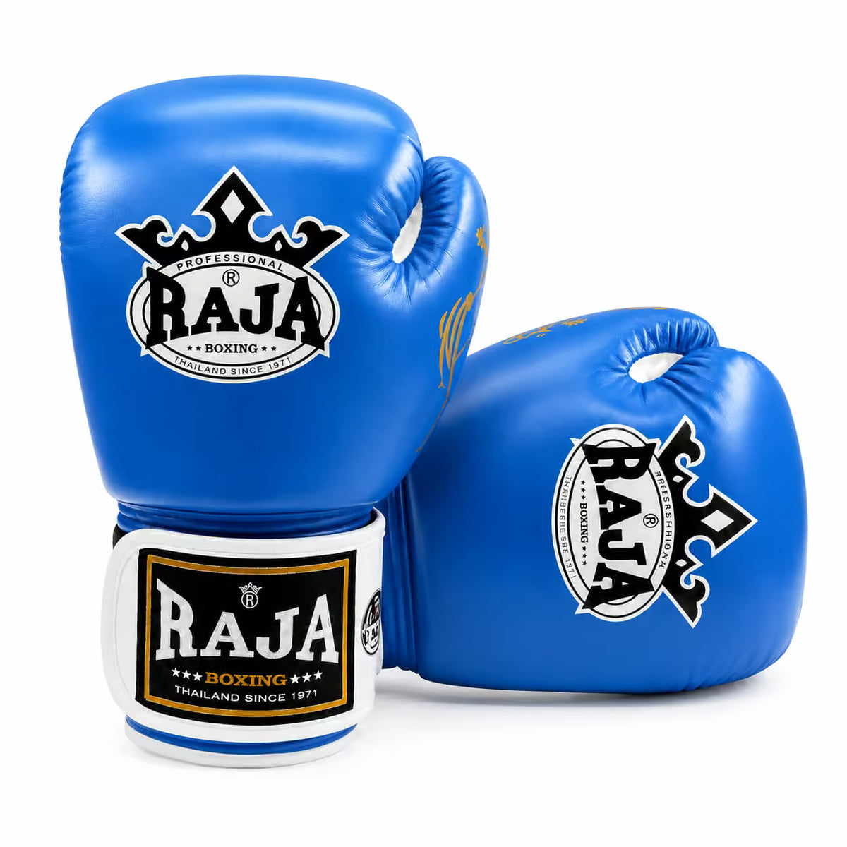 RAJA Boxing Gloves – Boxing, MMA & Dutch K1 Kickboxing Training Gloves