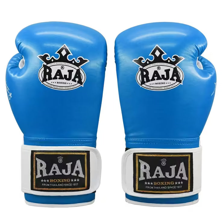 RAJA Boxing Gloves – Boxing, MMA & Dutch K1 Kickboxing Training Gloves