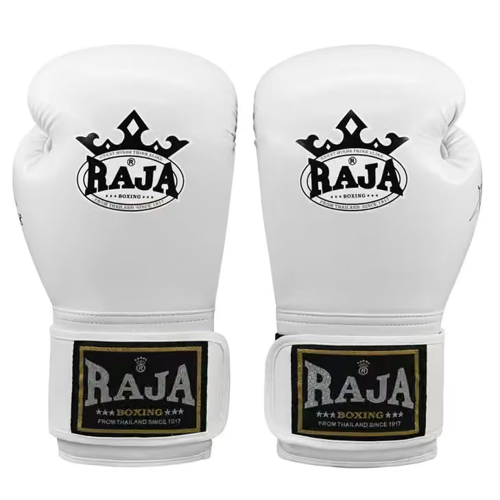 RAJA Boxing Gloves – Boxing, MMA & Dutch K1 Kickboxing Training Gloves