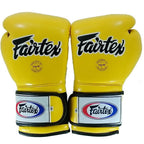 Fairtex Muay Thai Boxing Gloves | Pro Fight & Sparring Gear BGV1 - FitZone360